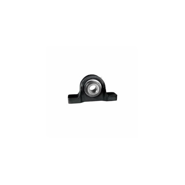 Link-Belt 300 Heavy Duty Pillow Block Ball Bearing, 1-15/16 in Bore